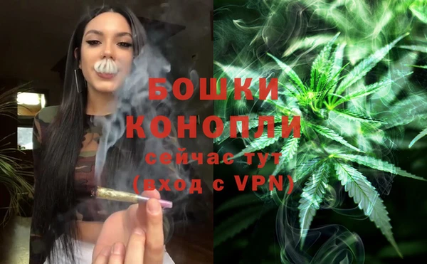PSILOCYBIN Алзамай