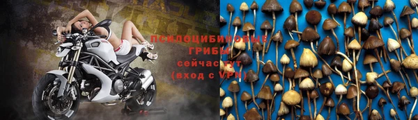 mdpv Алексеевка