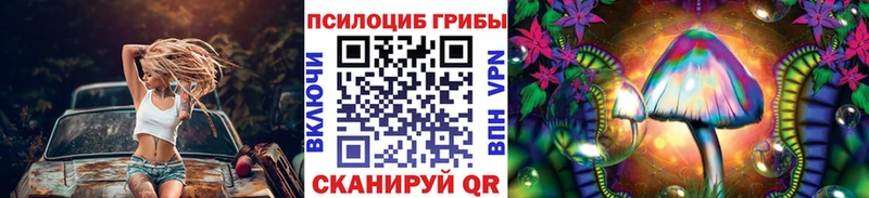 кракен Бежецк Галлюциногенные грибы GOLDEN TEACHER купить наркотики сайты